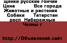 щенки русские гончие › Цена ­ 4 000 - Все города Животные и растения » Собаки   . Татарстан респ.,Набережные Челны г.